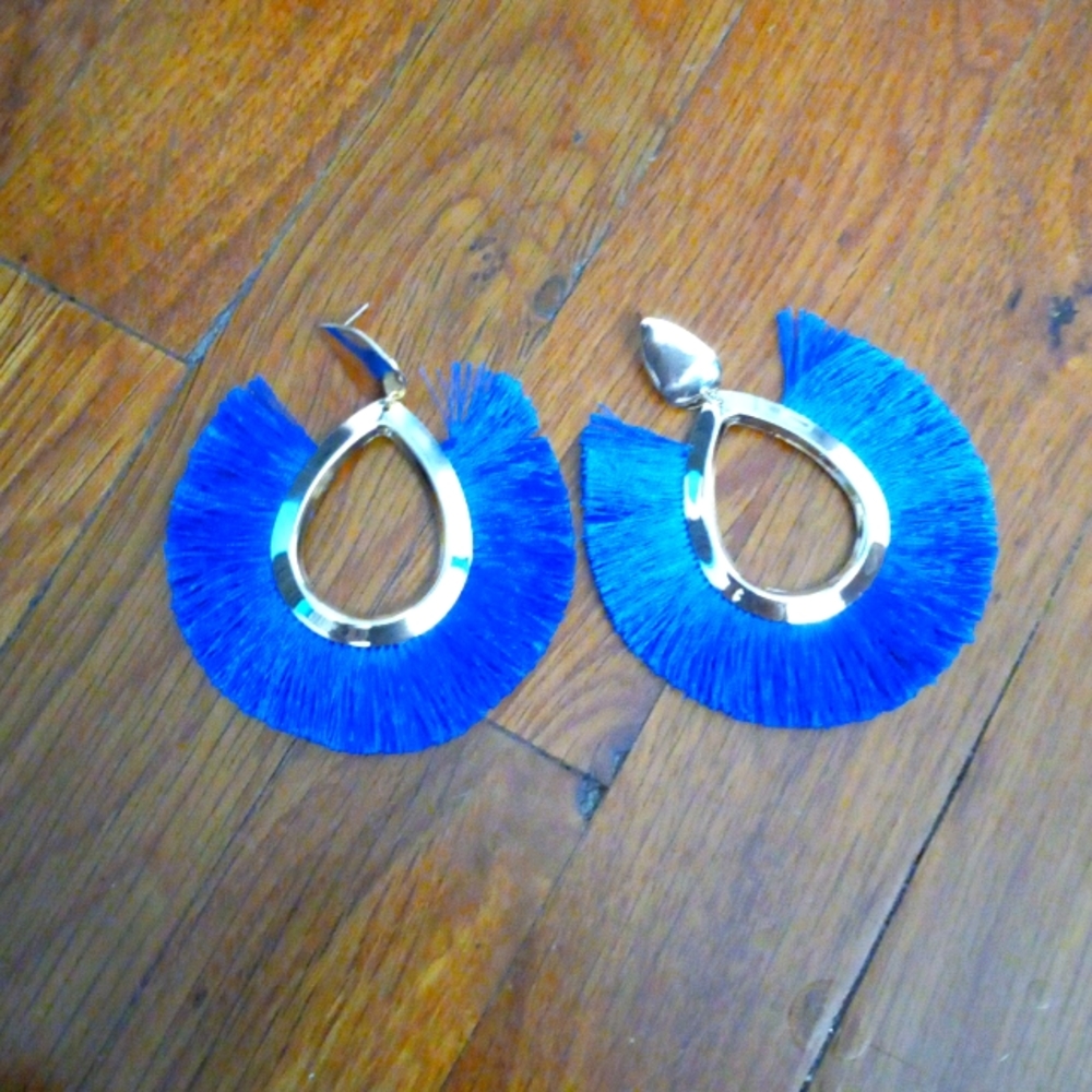 Blue Tassel Earrings